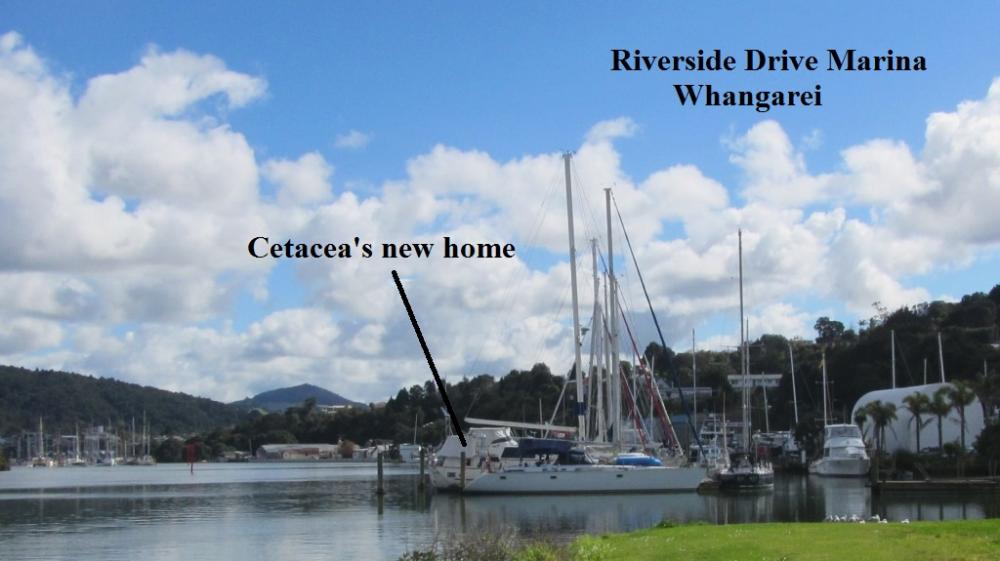 Riverside Drive Marina - Cetacea